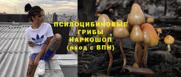 СК Кукмор