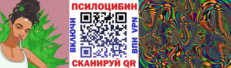 Галлюциногенные грибы прущие грибы  где продают   Кяхта 